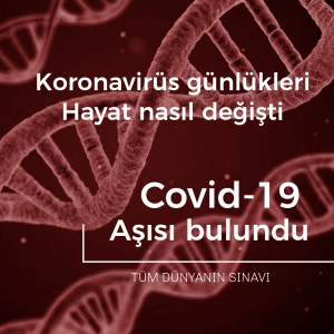 covid19.png