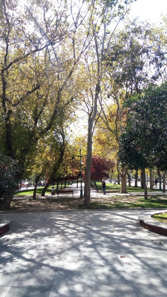 Taksim gezi parkı