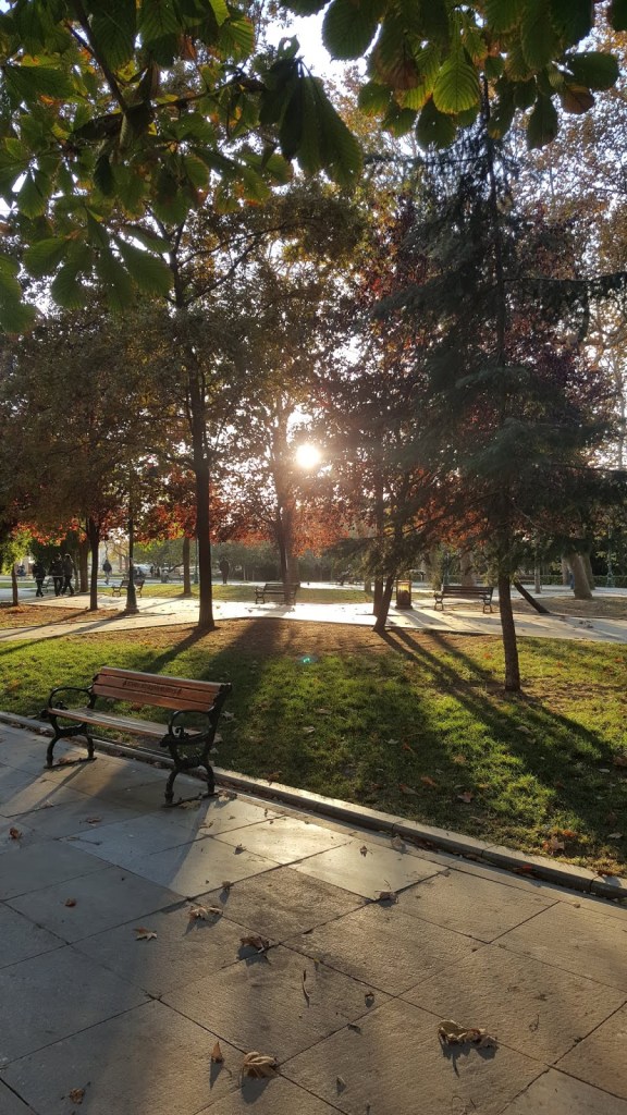 Taksim gezi parkı