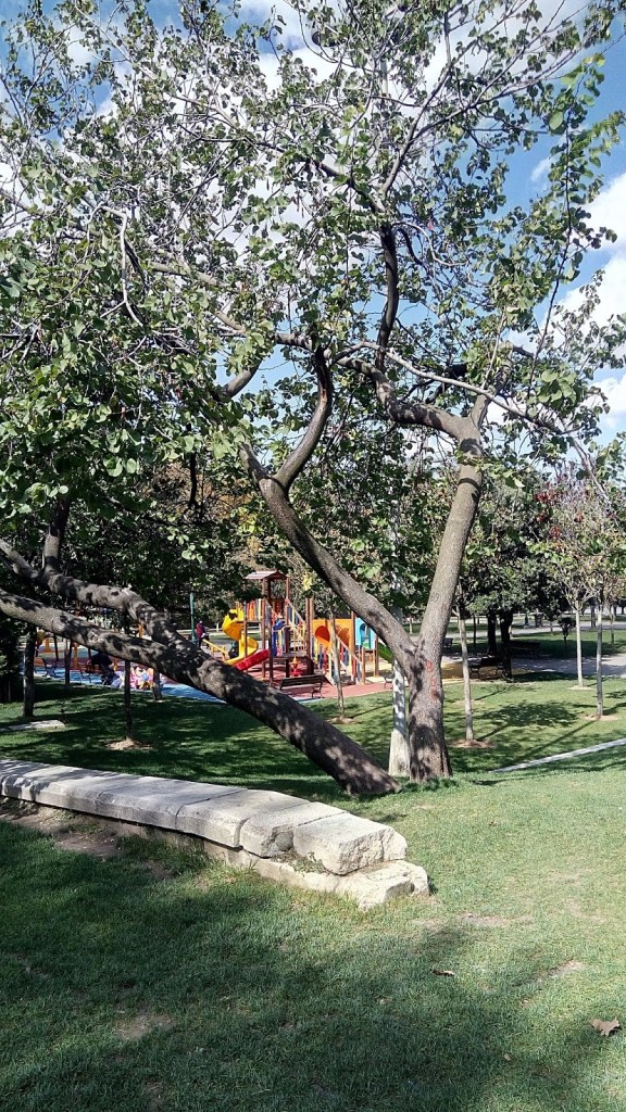 Taksim gezi parkı