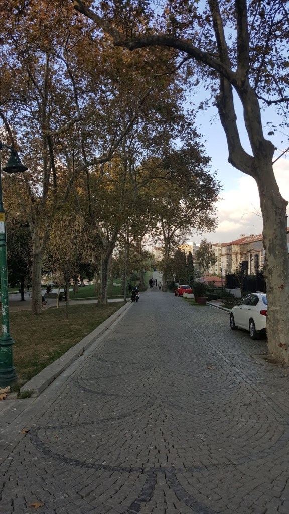 Taksim gezi parkı
