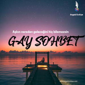 gay_sohbet_ve_topluluk_sitesi.png