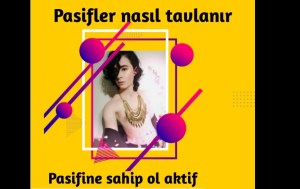 pasifine sahip ol aktif