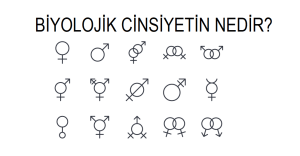 biyolojik_cinsiyetin_nedir