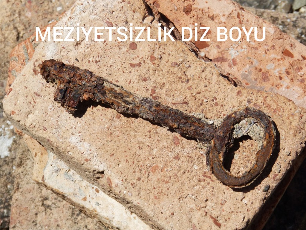 Meziyetsizlik nedir
