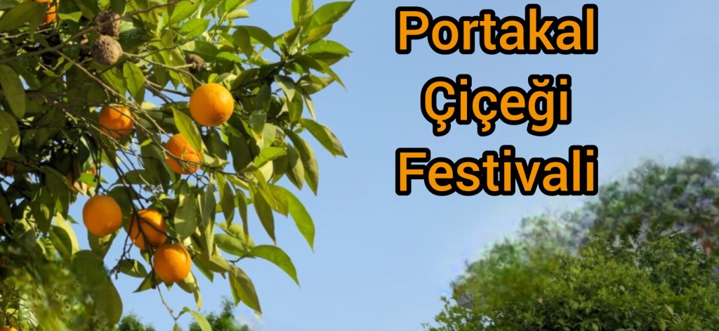 Adana portakal çiçeği festivali