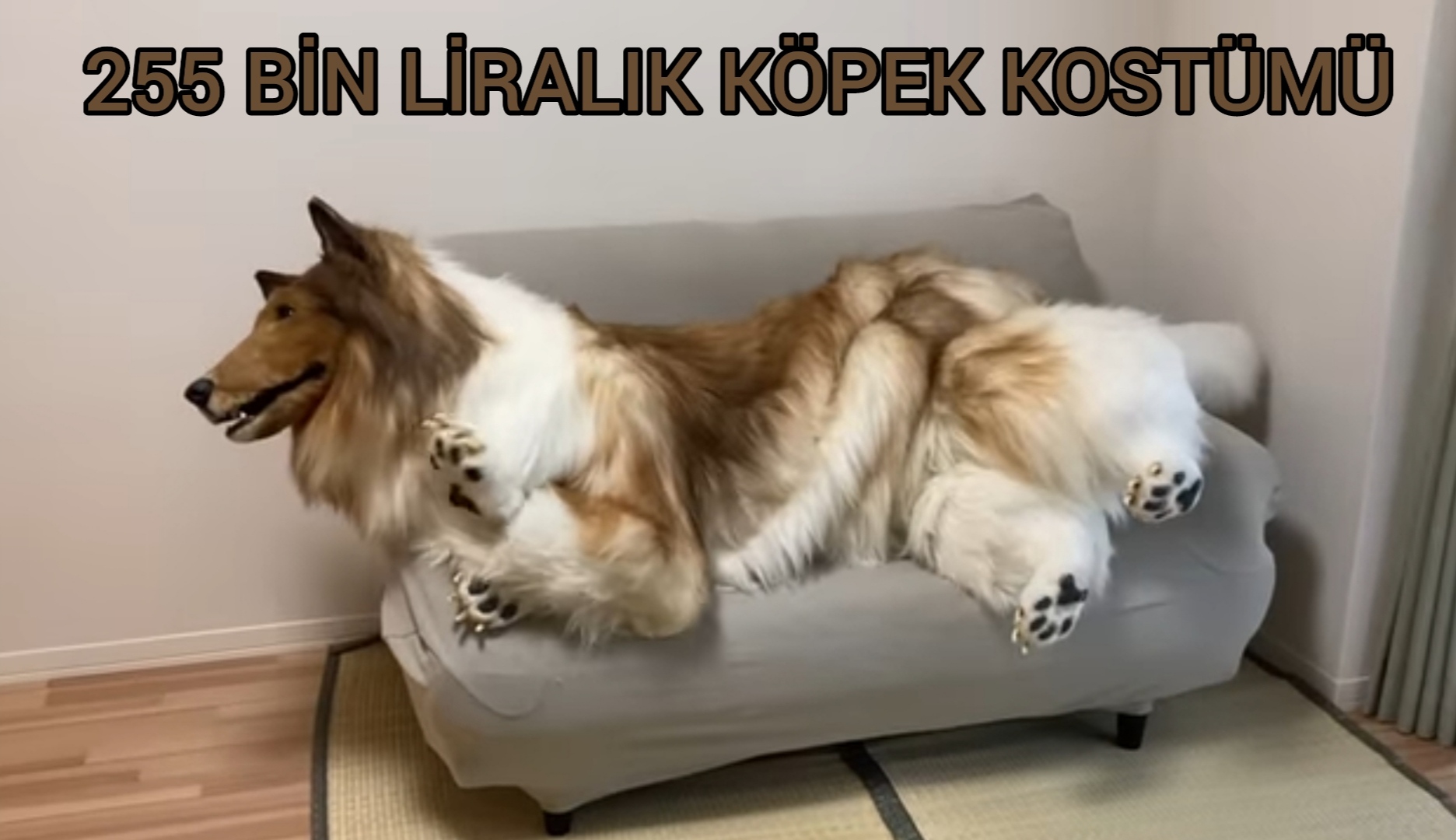 255 bin liralık köpek kostümü giymek yerine kadın olurdum