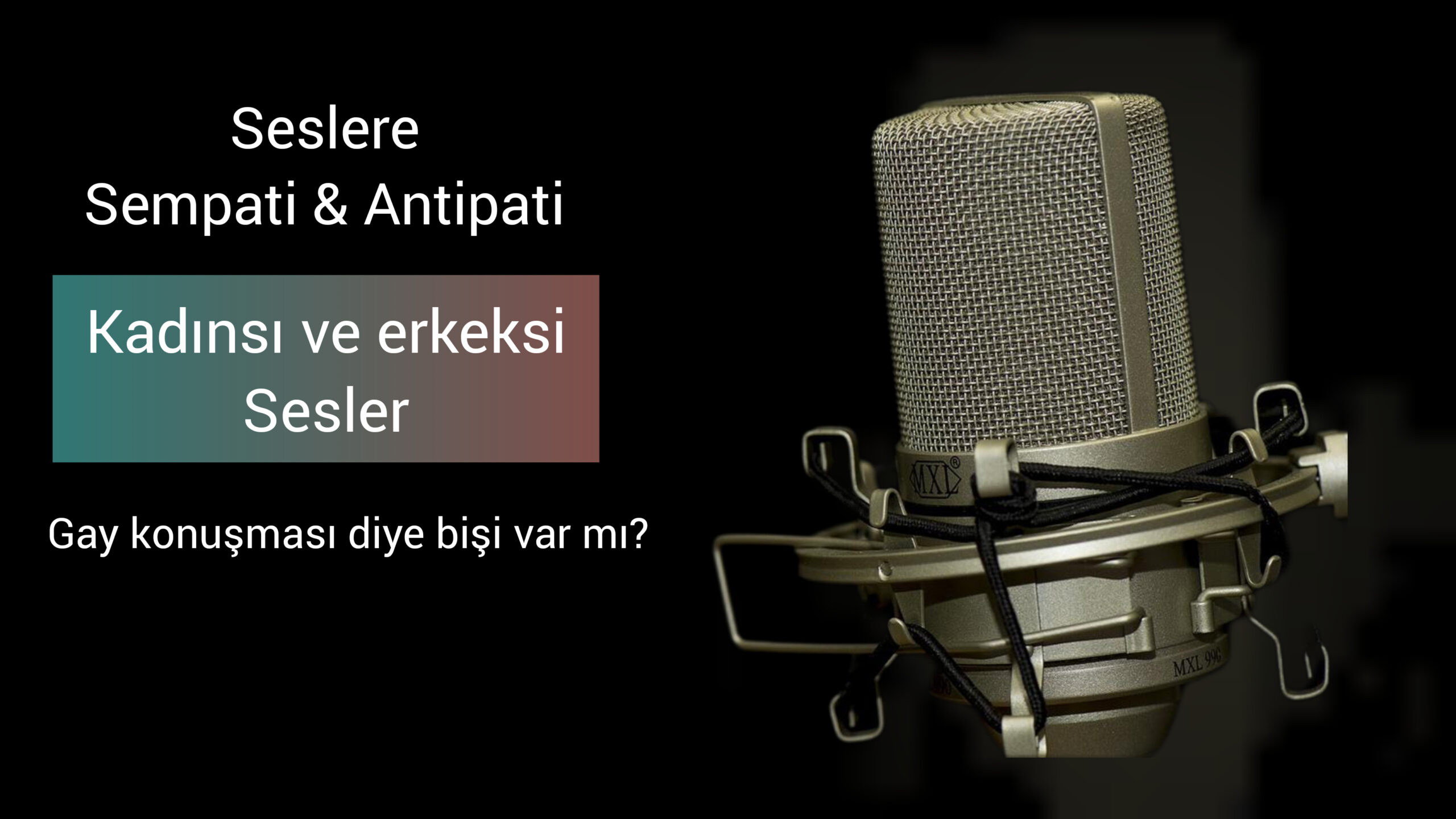 Seslendirme sempatik veya antipatik olabilir – peki ya gay sesi?