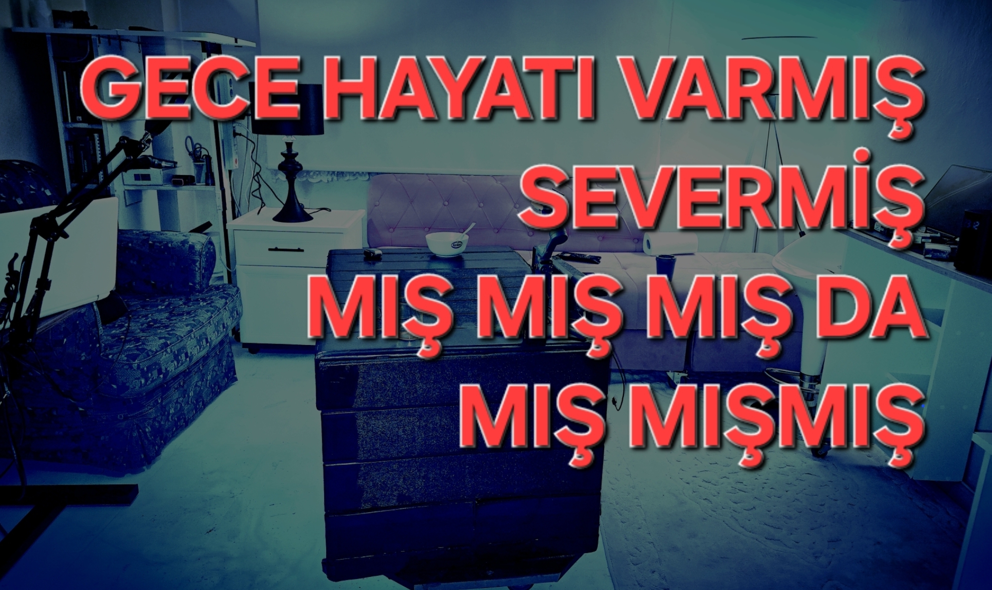 Gece hayatı varmış geceleri yaşıyormuş