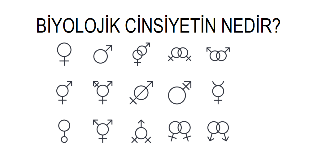 Görünen cinsiyetin nedir? Kadın erkek trans? Anket