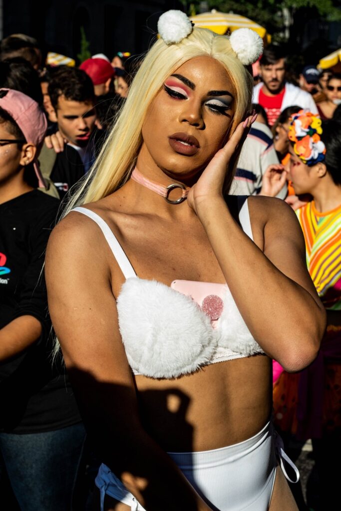 Travesti hiyerarşisi