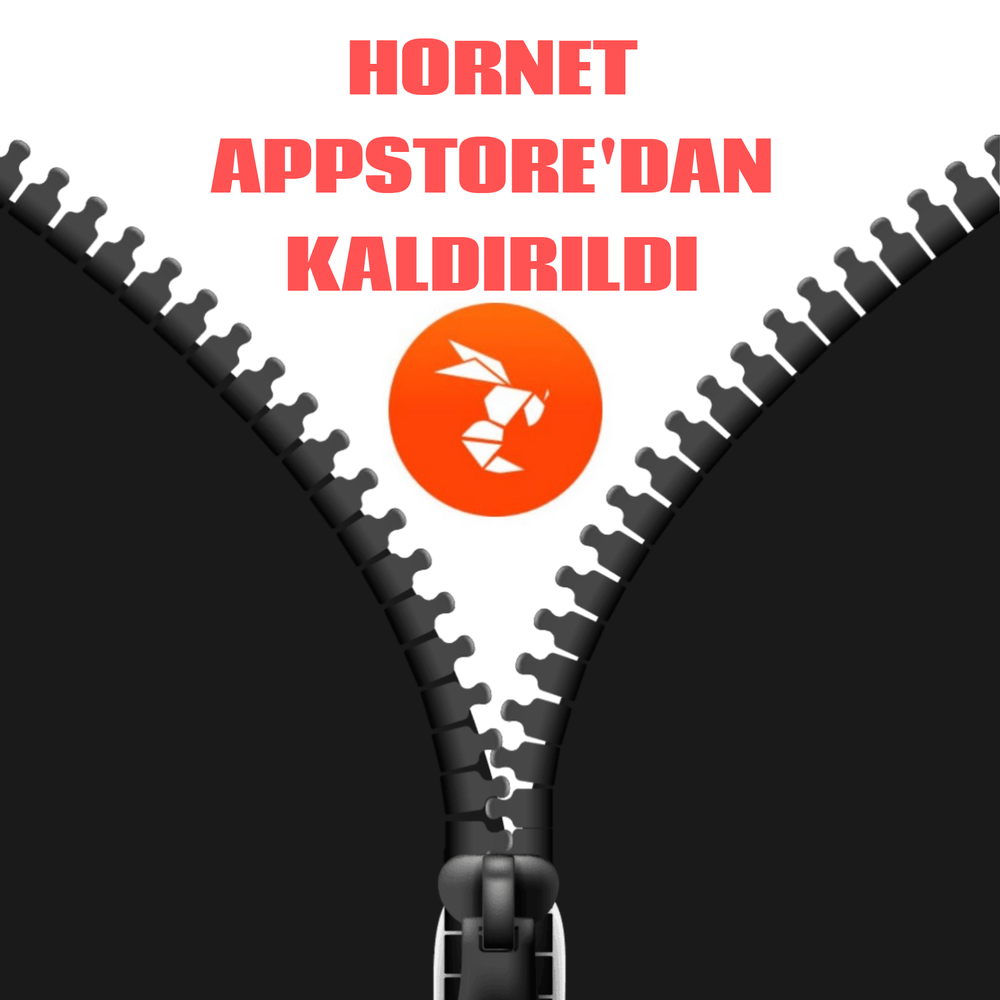 Hornet kapandı mı yoksa Apple store’dan mı kaldırıldı